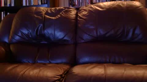 misohoney007 online show from April 13, 3:07 am