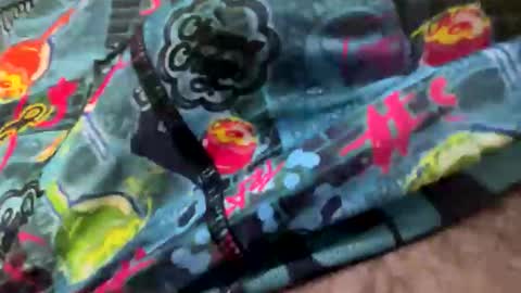 Snapshot of moreletii chatting on September 20, 8:53 pm Me online show from September 20, 8:53 pm