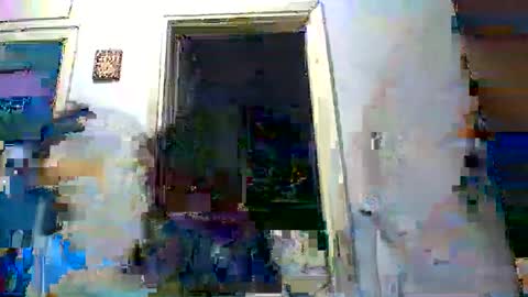 mppempis81 online show from November 29, 4:31 pm