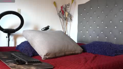 Luis    Instagram   online show from February 16, 8:11 pm