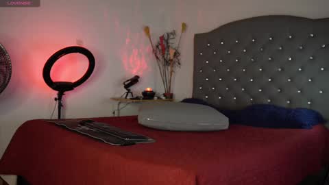 Luis    Instagram   online show from February 14, 3:05 pm