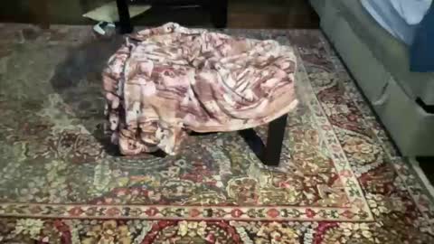 much_fun1 online show from February 1, 3:22 pm