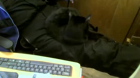 Snapshot of muller520 chatting on February 12, 4:55 pm muller520 online show from February 12, 4:55 pm