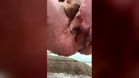 munch044 online show from March 22, 5:29 pm