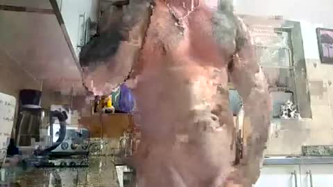 muscledaddy69s online show from August 4, 2:06 am