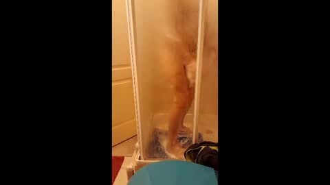 neamtu online show from March 10, 3:29 pm