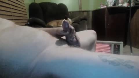 ned is naughty online show from March 11, 7:37 am