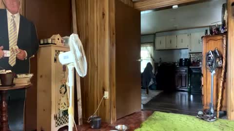 neversaynevrrr online show from October 26, 5:59 pm