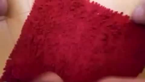 BookWriter online show from September 14, 4:58 am