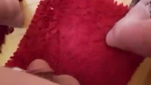 BookWriter online show from January 4, 7:24 am