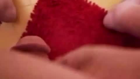 BookWriter online show from December 8, 7:05 am