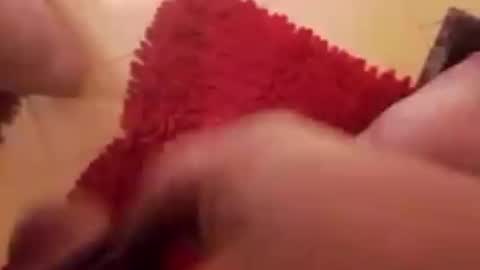 BookWriter online show from December 20, 8:17 am