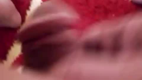 BookWriter online show from January 2, 7:55 am