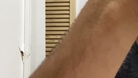 Noah online show from March 30, 6:25 am