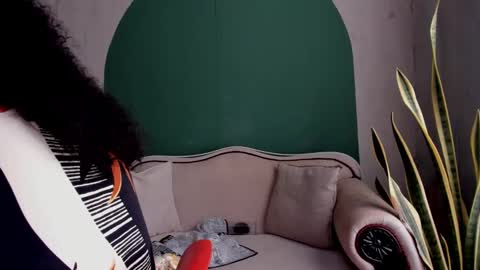 Noah online show from November 19, 6:41 pm