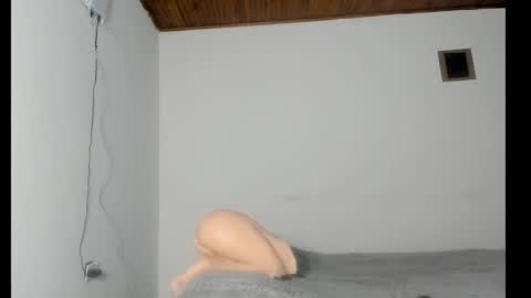 nreus online show from October 8, 10:19 am