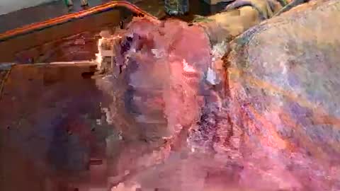 nurod online show from November 26, 4:10 pm