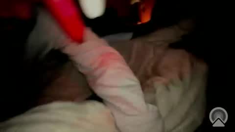 nutswithasideofmilk online show from March 1, 8:36 am