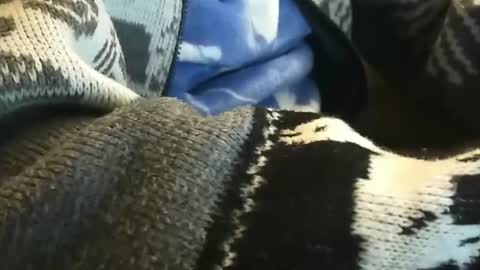 o0okukito0o online show from January 14, 10:55 pm