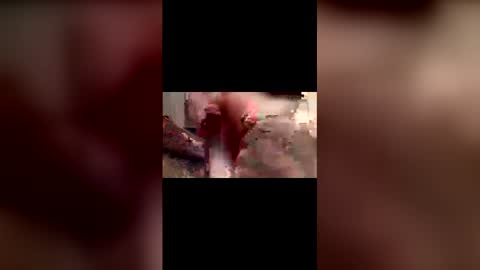 ojeremiah1961 online show from March 2, 4:36 pm