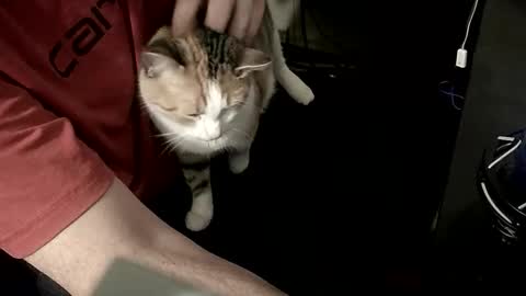 orgasmgiver9090 online show from April 20, 12:57 am