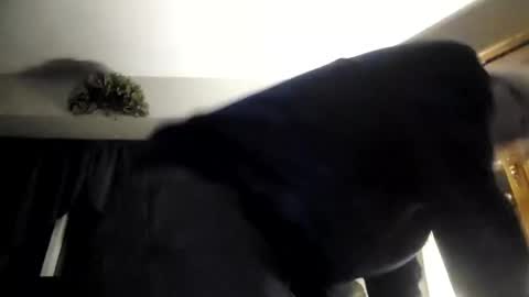 Snapshot of part86 chatting on January 26, 3:38 am part86 online show from January 26, 3:38 am