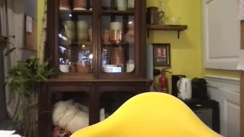 passifhot3 online show from February 17, 9:41 am