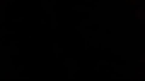 patcums online show from November 3, 6:39 am