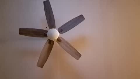 patrick247288 online show from November 7, 6:17 am