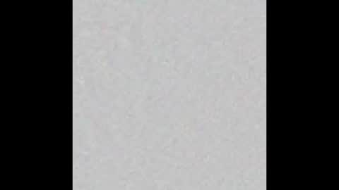 paulblack021 online show from October 9, 9:47 am