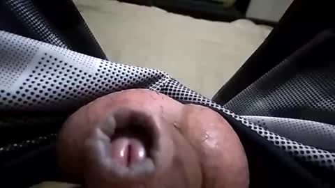 Snapshot of paulojdo chatting on February 23, 2:56 am carlosjdo online show from February 23, 2:56 am