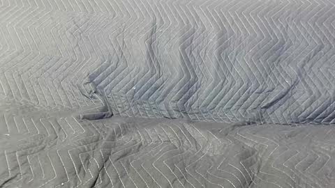 paupam online show from January 26, 7:31 pm