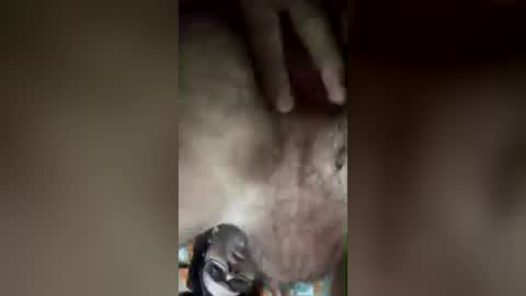 pecho_peludo online show from July 26, 3:09 pm