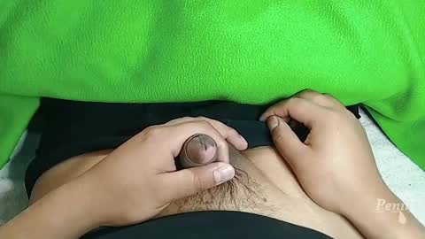 Penils online show from April 20, 12:30 pm