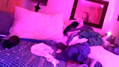 Penny France online show from December 13, 7:37 am