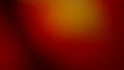 pepperplease online show from April 4, 11:51 am