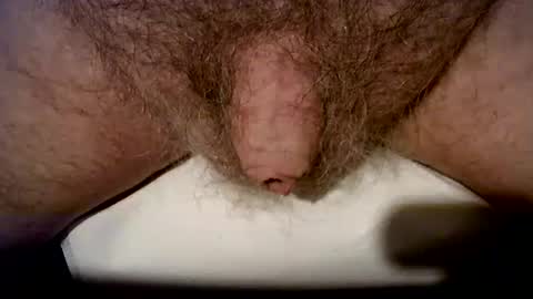 peterpeteropoulos online show from October 24, 6:42 pm