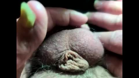 petrol63102 online show from February 10, 8:24 pm