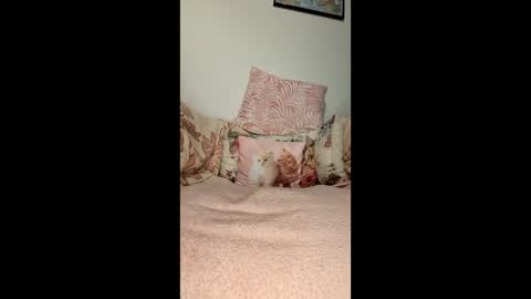 philos1979 online show from January 10, 7:23 am