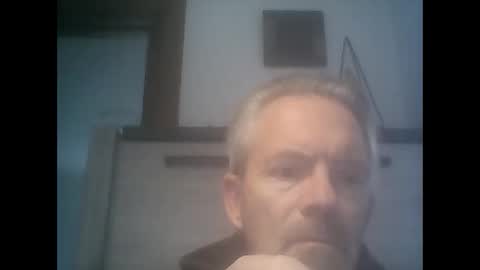 pigeonlover978192 online show from September 21, 1:00 pm