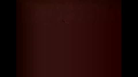 pingufulano online show from March 16, 5:25 am