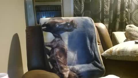 pirate334 online show from January 18, 4:36 am