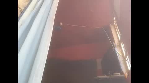 piratefuckinradioshow online show from November 5, 6:54 pm