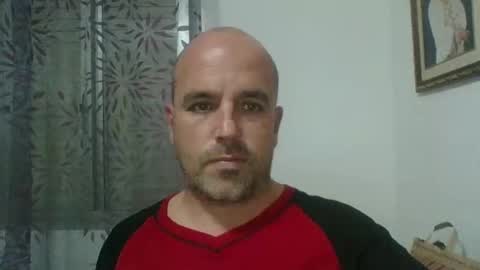 pocoyotop online show from December 13, 4:38 pm