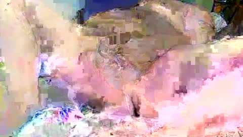 Snapshot of poundittt chatting on September 14, 2:35 am dikud0wn online show from September 14, 2:35 am