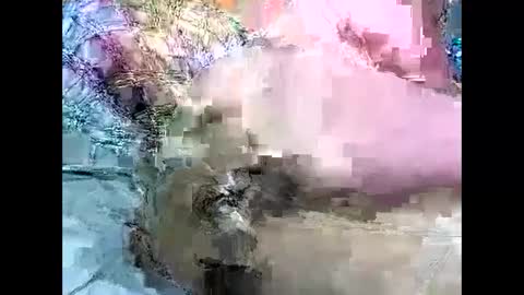Snapshot of poundittt chatting on December 29, 8:26 pm dikud0wn online show from December 29, 8:26 pm