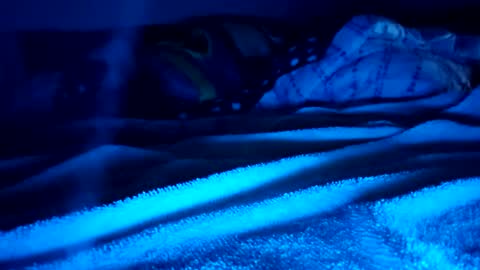 ptut82 online show from February 15, 9:40 am