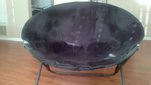 puertoricang online show from March 1, 1:29 pm