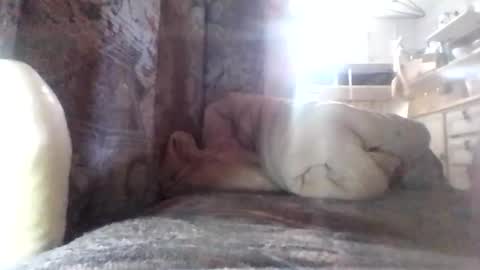 puffingoodtime online show from March 9, 7:12 am