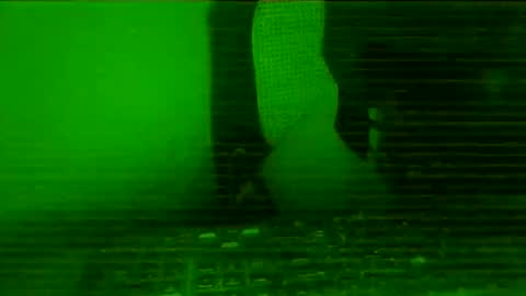 pup_y online show from March 5, 6:15 pm